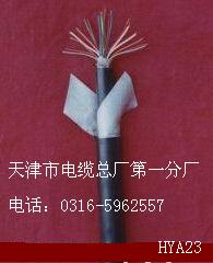 雙重耐高溫電纜 KFF-2X1.5