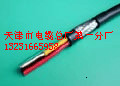 (ni)M(fi)؛221.0 DJYVRPӋ(j)C(j)|r(ji)