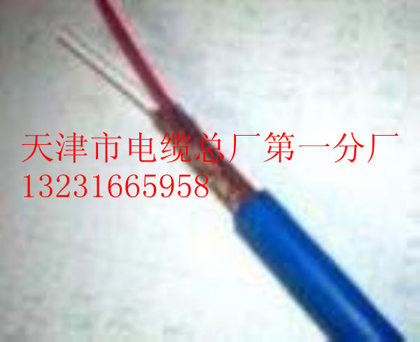 RVVP 300/500V 2*2.5|