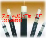 鎧裝視頻線型號(hào)SYV22,SYV23,SYV53//廠家
