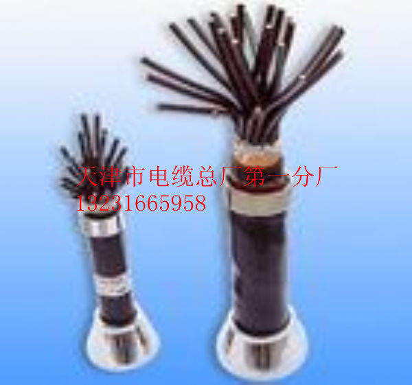 控制電纜KVVP2-22 ZR-KVVP2-22 鎧裝控制電纜