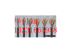 F(xin)؛(yng)V|-SBVPV-31.5(jng)