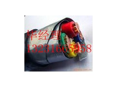 軟芯屏蔽控制電纜KVVRP，ZRC-KVVRP2-22控制電纜