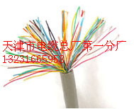 畢經(jīng)理銷售優(yōu)質的CPEV-S通信電纜10*2*0.8CPEV-S