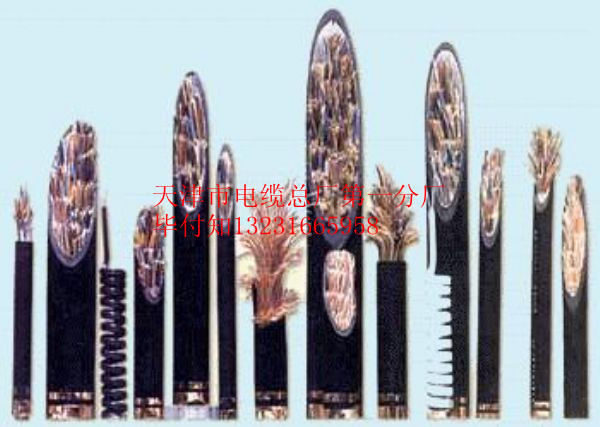 (yng)(yu)|(zh)HYVP700*2*0.4/700ͨ|Xһ