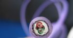 【最新價格】PROFIBUS DP總線PROFIBUS 西門子電纜