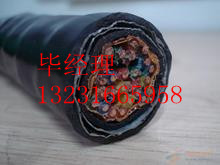 ȫzbͨ|HYA53-50*2*0.5zbͨ|0316-