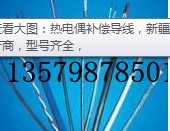 新疆補(bǔ)償導(dǎo)線烏魯木齊補(bǔ)償電纜 屏蔽補(bǔ)償導(dǎo)線阻燃補(bǔ)償導(dǎo)線
