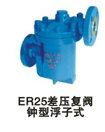 ER25(f)y͸ʽˮyϺˮyY(ji)(gu)oʽˮy