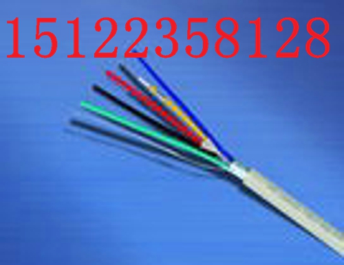 （天津）信號電纜 RVVP14（天津）信號電纜 RVVP14價格