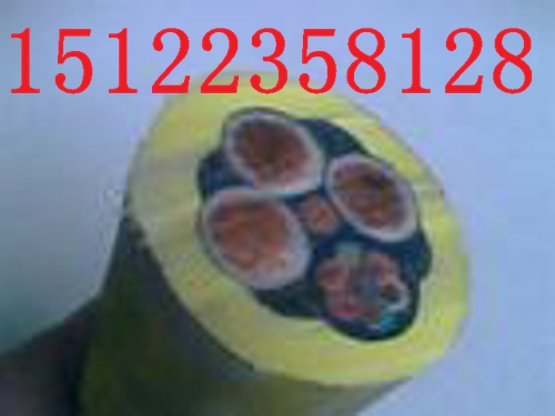 (I(y)a(chn))(j) DJVVP̖(ho)Nۃr(ji)