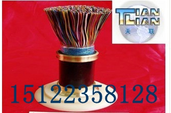 （專(zhuān)業(yè)生產(chǎn)）RVVZ22 ZRRVV22價(jià)格