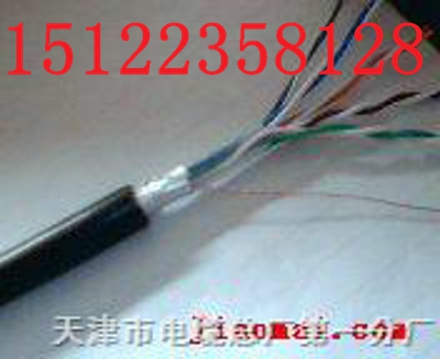 (國標)RVVP3*1.5電纜報價價格