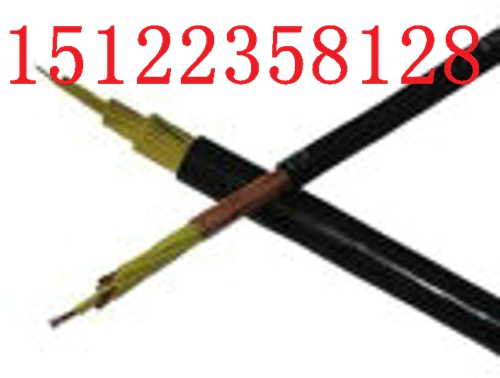 （國標(biāo)）RVVP 2*1.5 報價價格