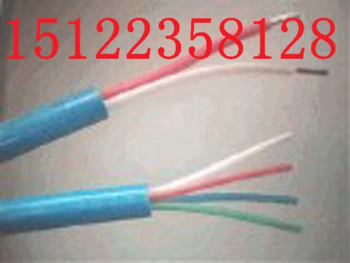 最新供應ZR-RVVP2-22電纜價格