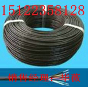 （天聯(lián)牌電纜熱銷）阻燃防爆本質(zhì)安全電纜EISC-SS-R價(jià)格//報(bào)