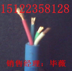 老品牌優(yōu)質(zhì)量/通化-礦用防爆線PUYVRP /質(zhì)量好，價格低價格（