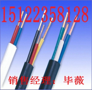（礦用防爆電話線MHYVRP|礦用電纜）價(jià)格/報(bào)價(jià)