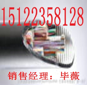 【供應(yīng)】VV22電力電纜價(jià)格//VV22電力電纜報(bào)價(jià)