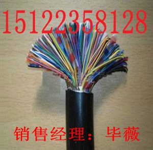 供應(yīng)耐火雙絞屏蔽電纜//供應(yīng)耐火雙絞屏蔽電纜(價格)(報價)