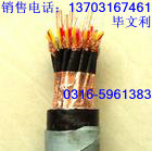 HYAT53電纜，HYAT53電纜價(jià)格 型號(hào)