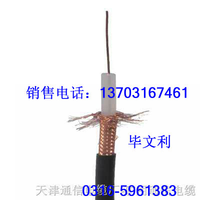 4芯 8芯 同軸視頻線 SYV75-2 1＊4 ，SYV75-2