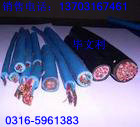 ZR-KVVP2-22-R䓎zb|450/750