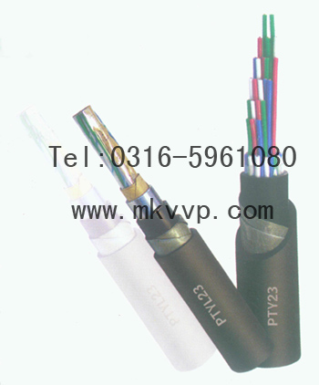 鐵路信號(hào)電纜PTYAH23-24芯,鐵路信號(hào)電纜PTYAH23-2