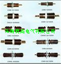 CWW-20/2000A瓷套管廠家
