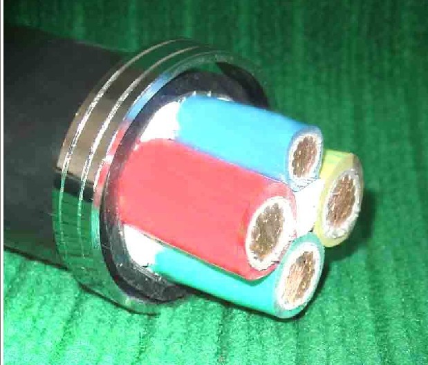 多因素助推 電纜價格亢奮走高