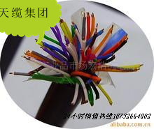 品牌CPEV-S電纜批發(fā)價(jià)格