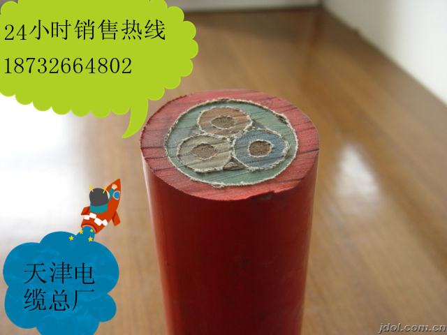 (yng)MZ MZP3*2.5+1*2.5V@|S/r