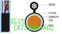 誠(chéng)信為本-100對(duì)架空電話(huà)線(xiàn)廠(chǎng)家
