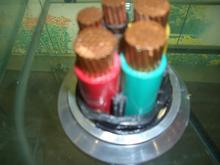 供應(yīng)阻燃型動(dòng)力電纜ZR-VV-0.6/1.0kV