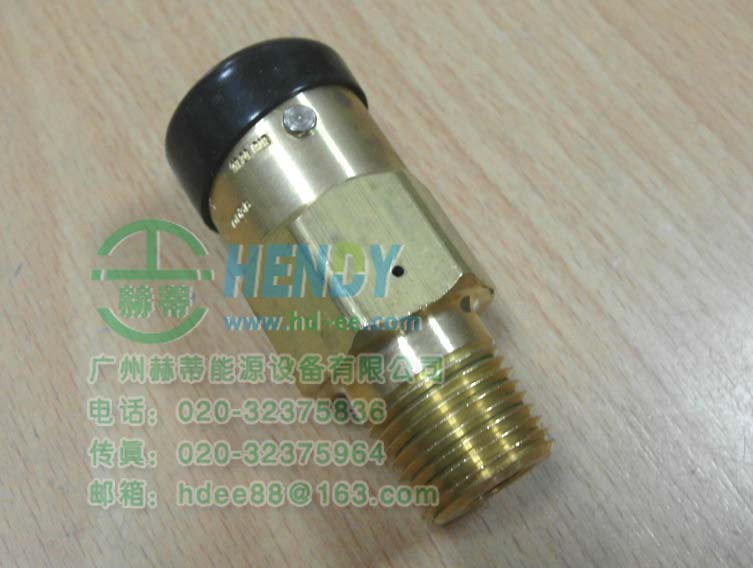 Rego安全閥3129G，安全放散閥，泄壓閥，排氣閥，釋氣閥，高壓