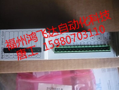 金蛇起舞109-490-4255A鴻飛達鬧新春