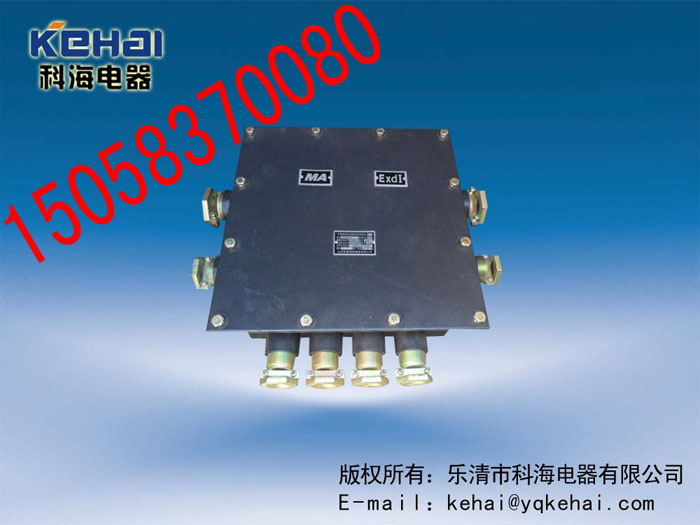 JHH50-8礦用本安通訊接線盒，礦用電話分接線盒