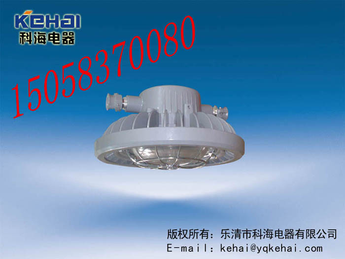 DGS70/127L(A)礦用隔爆型LED巷道燈，礦用LED巷道燈