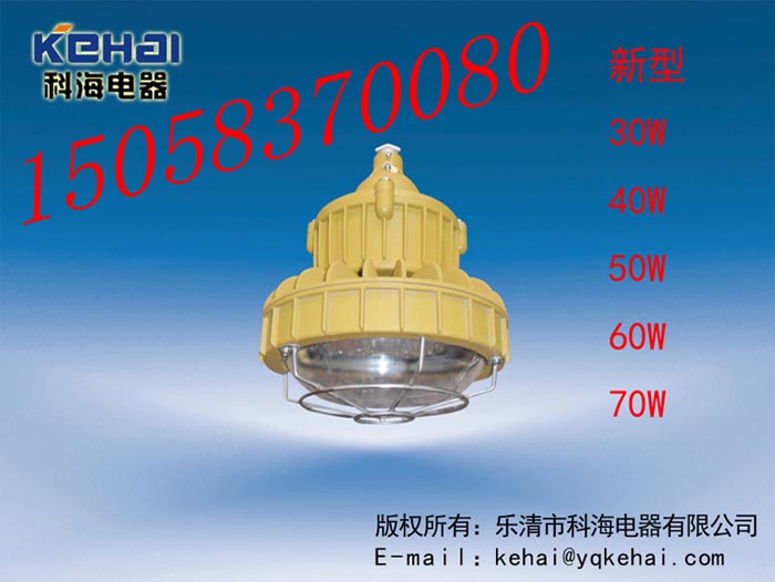 免維護(hù)LED防爆燈價(jià)格，BED-II40WLED防爆燈圖，免維護(hù)LED