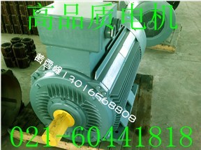 Y2-132M1-6-4KW늄әCͨ늄әCl(f)N
