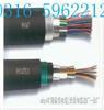 天津暢銷計(jì)算機(jī)DJYpv電纜簡介+計(jì)算機(jī)DJYpv電纜銷售