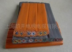 電梯隨行電纜，隨行電線電纜，電線電纜