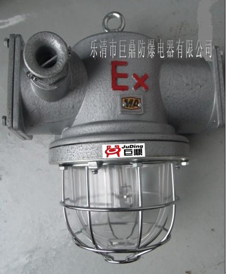 DGS70/127N鈉燈，防爆鈉燈，隔爆防水鈉燈