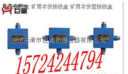 批發(fā)本安接線盒，批發(fā)JHH-2本安接線盒，礦用本安接線盒