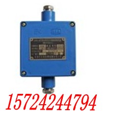 JHH-2、JHH-3、JHH-4本安接線盒，浙江本安接線盒批發(fā)