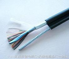 遼陽化工防爆儀器屏蔽電纜銷售，遼陽化工儀器防爆電纜廠家