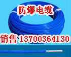 海城豎井防爆同軸電纜供應(yīng)，海城豎井同軸電纜銷售