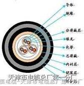 海域 耐火電纜供應(yīng)，海域耐火電纜銷售，海域耐火電纜廠家