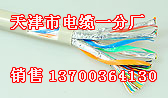 南通本安電纜型號(hào)，南通IADJYPVP本安電纜，南通本安電纜供應(yīng)