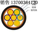 遼陽ASTP485電纜120歐姆生產(chǎn)，遼陽RS485電